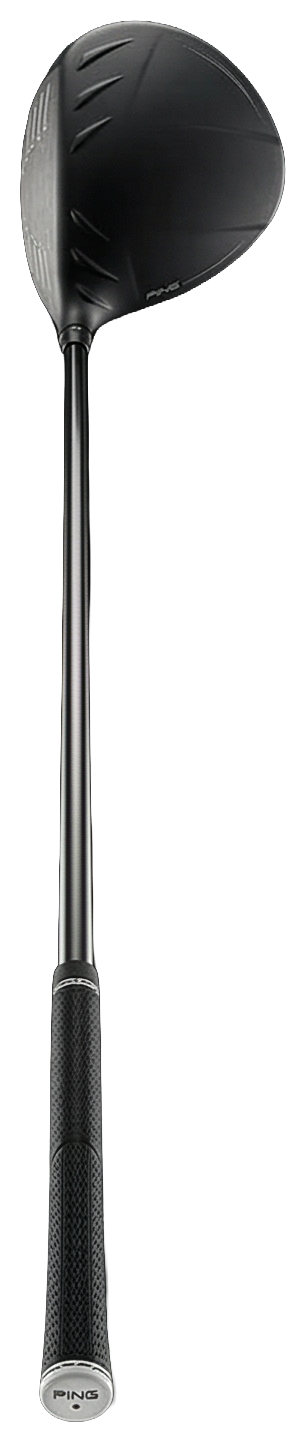PING driver being inspected